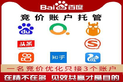 体育赛事宣传中的SEM托管服务：从策划到执行